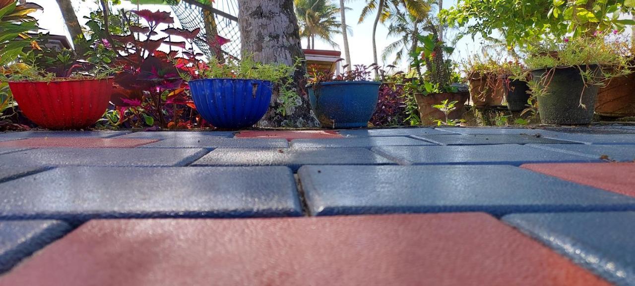 מאראריקולם Marari Anna Beach Villa מראה חיצוני תמונה